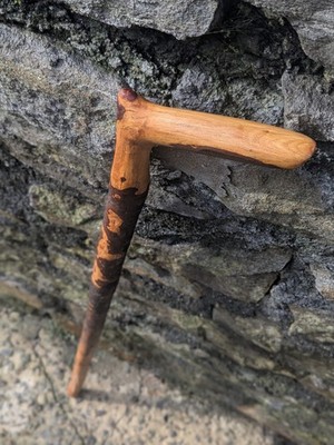 Leichter Blackthorn Shillelagh Holz Gehstock klassischer Griff Stock 