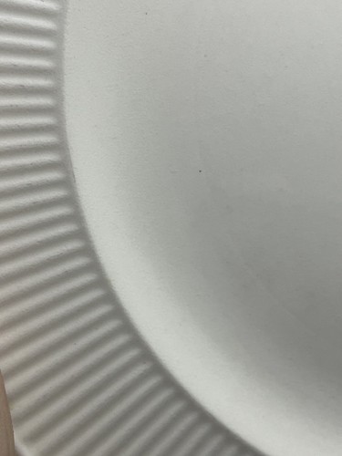Wedgwood England Windsor 10-7/8" Dinner Plate Ivory Cream Embossed Ribs Dots - Picture 2 of 12