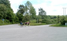 Photo 6x4 Horse and sulky, Upper Race, Pontypool While I was waiting at t c2011