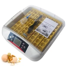 110V Small Household Egg Incubator 56 Eggs Chicken Incubator Egg Hatcher