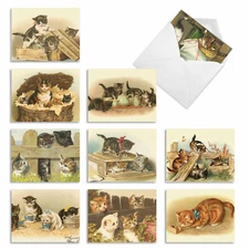 10 Assorted All Occasion Note Cards Blank - CUTEY CATS