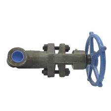 VELAN W-9076Z-02TS 6700PSI 1" NSNP