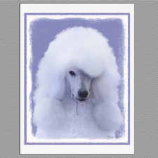 6 Standard Poodle White Dog Blank Art Note Greeting Cards