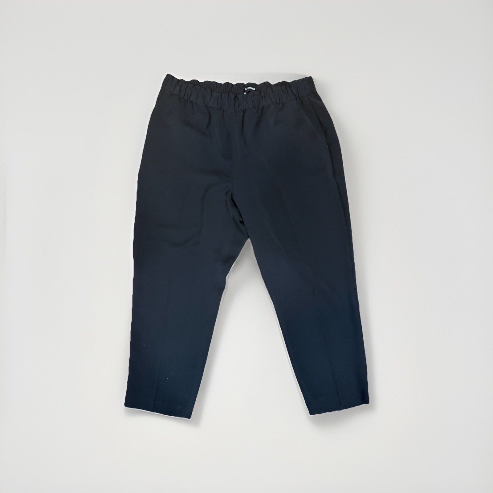 Express Plus Size Pants, Extra Large  Work Pants … - image 1