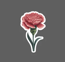 Carnation Sticker Waterproof Decal Flower Floral Nature Outdoor Nature Gift NEW