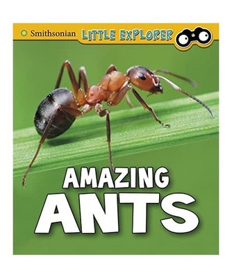 Amazing Ants, Megan Cooley Peterson