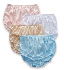 Teri 331 Full Cut Nylon Brief Panty - 4 Pack