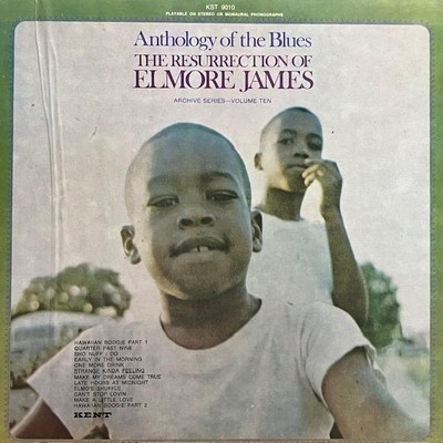 Elmore James Anthology of the Blues Vinyl Reissue Japan Condition: Excellent