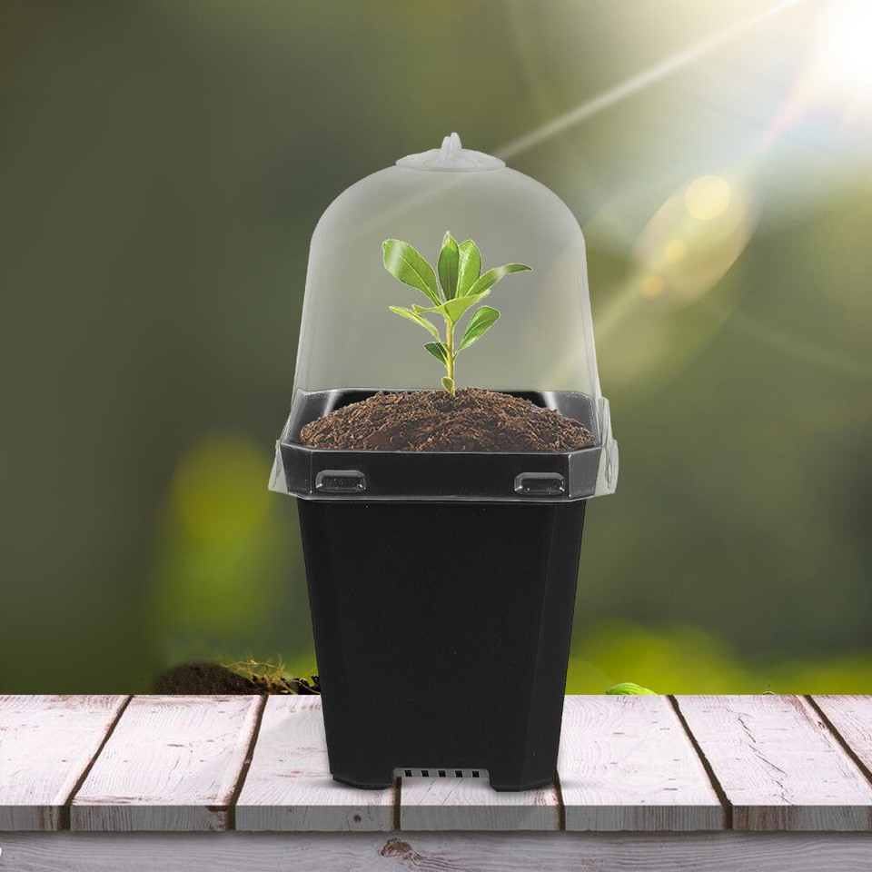 12 Sets Behälter Mit Deckel Pflanztöpfe Für Den Garten Blumentopf eBay