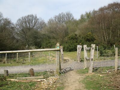 Photo 12x8 Path across Beggars Lane Abinger Hammer The point on the North  c2011