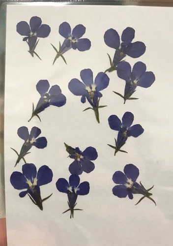 Dried Pressed Flowers Natural Epoxy Resin Candle Nail Art Scrapbooking Craft AU - Picture 205 of 210
