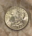 Magnificent 1891 Semi Proof Like Morgan, very scarce cond. Quality Pc  USA DM949