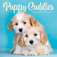 Carousel Calendars,  Puppy Pals Plato Special Value 2026 Wall Calendar, 12'' X 1