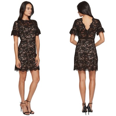 NWT REBECCA TAYLOR Size 6 open back short sleeve black lace dress | eBay NWT REBECCA TAYLOR Size 6 open back short sleeve black lace dress | eBay