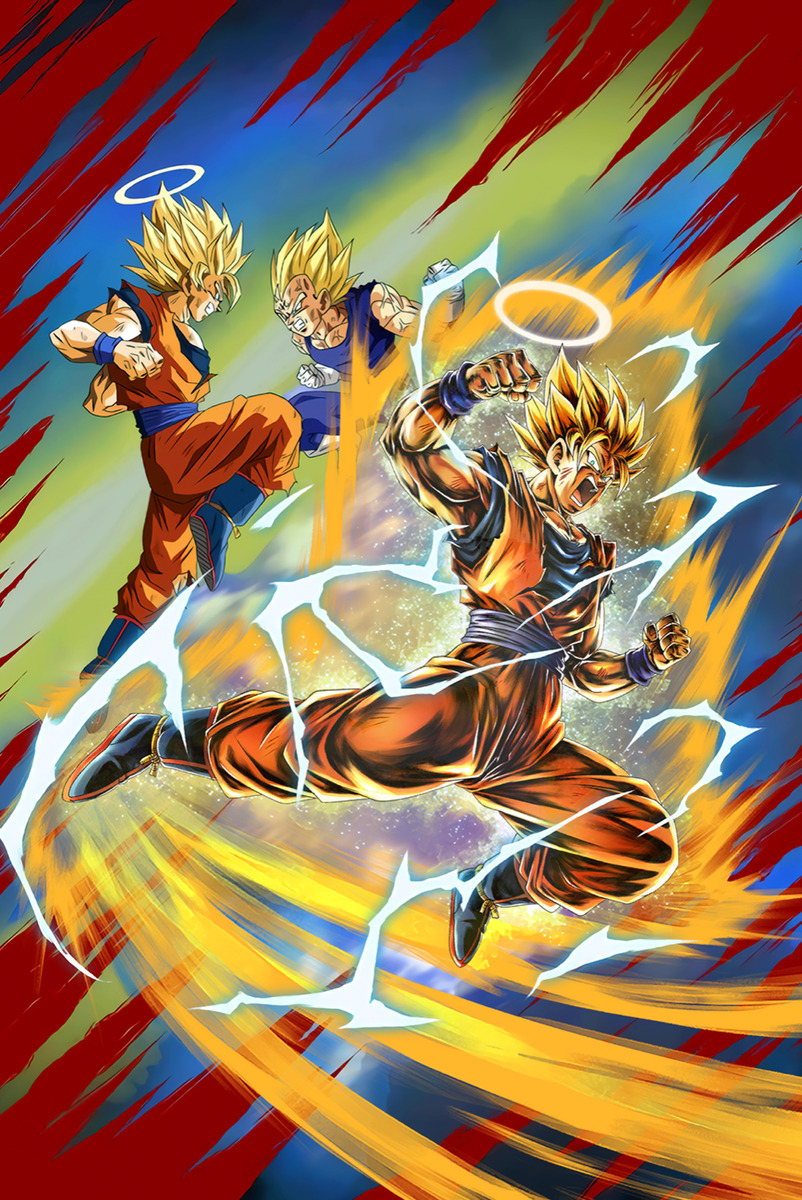 Dragon Ball Z Poster Goku SSJ3 and Vegeta SSJ2 12in x 18in Free Shipping