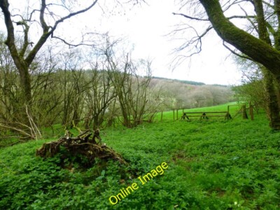 Foto 6x4 Jump in Warwicks Row Copse Lower Common\/SU6344 Es geht nicht um c2014