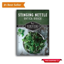 Medicinal Herb Stinging Nettle Seeds - Low Maintenance & Deer Resistant - 1 Pack