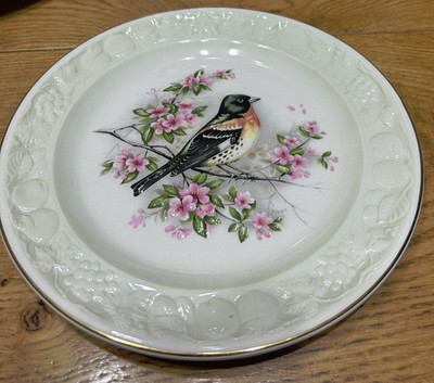 Vintage Paar Palissy Royal Worcester Spode Vogel Teller