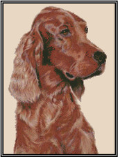 Irish Setter Dog Counted Cross Stitch Chart No.16-149 