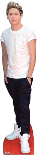 Niall Horan Fun Figure Cardboard Cutout 168cm Tall-Invite him to your Party!