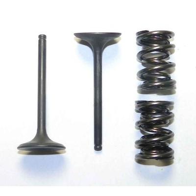 OEM Grade Exhaust Valve 2009-2018 Kawasaki KX450F Steel Kit 449cc Dirt Bike MX