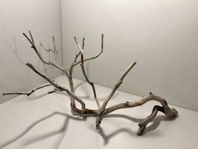 Manzanita Driftwood, Reptile Tank Decor,  Aquascape, Terrarium, Aquarium Wood