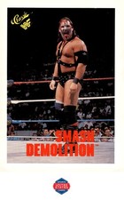 1990 Classic WWF #128 Demolition