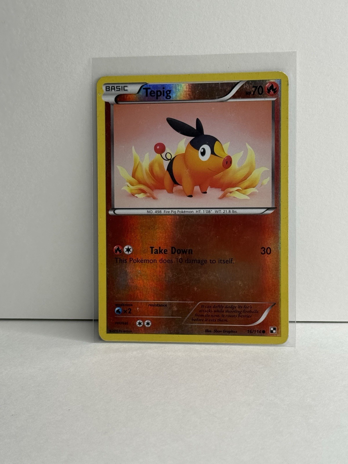 Tepig - 16/114 - Common Reverse Holo VLP, English Pokemon Black and White 2011