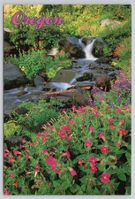 Oregon Spring Flowers Waterfall Stream Cascade OR Oregon Postcard