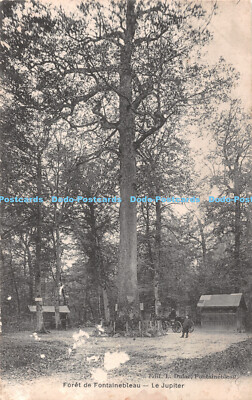 R482120 Foret de Fontainebleau Le Jupiter L Dulac