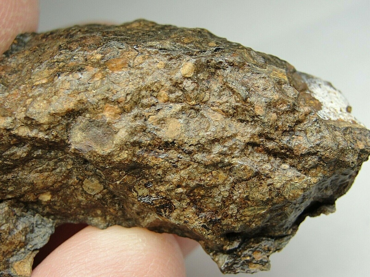 NWA 10588 Carbonaceous CK3 Chondrite - G654-0005 - 27.46g w