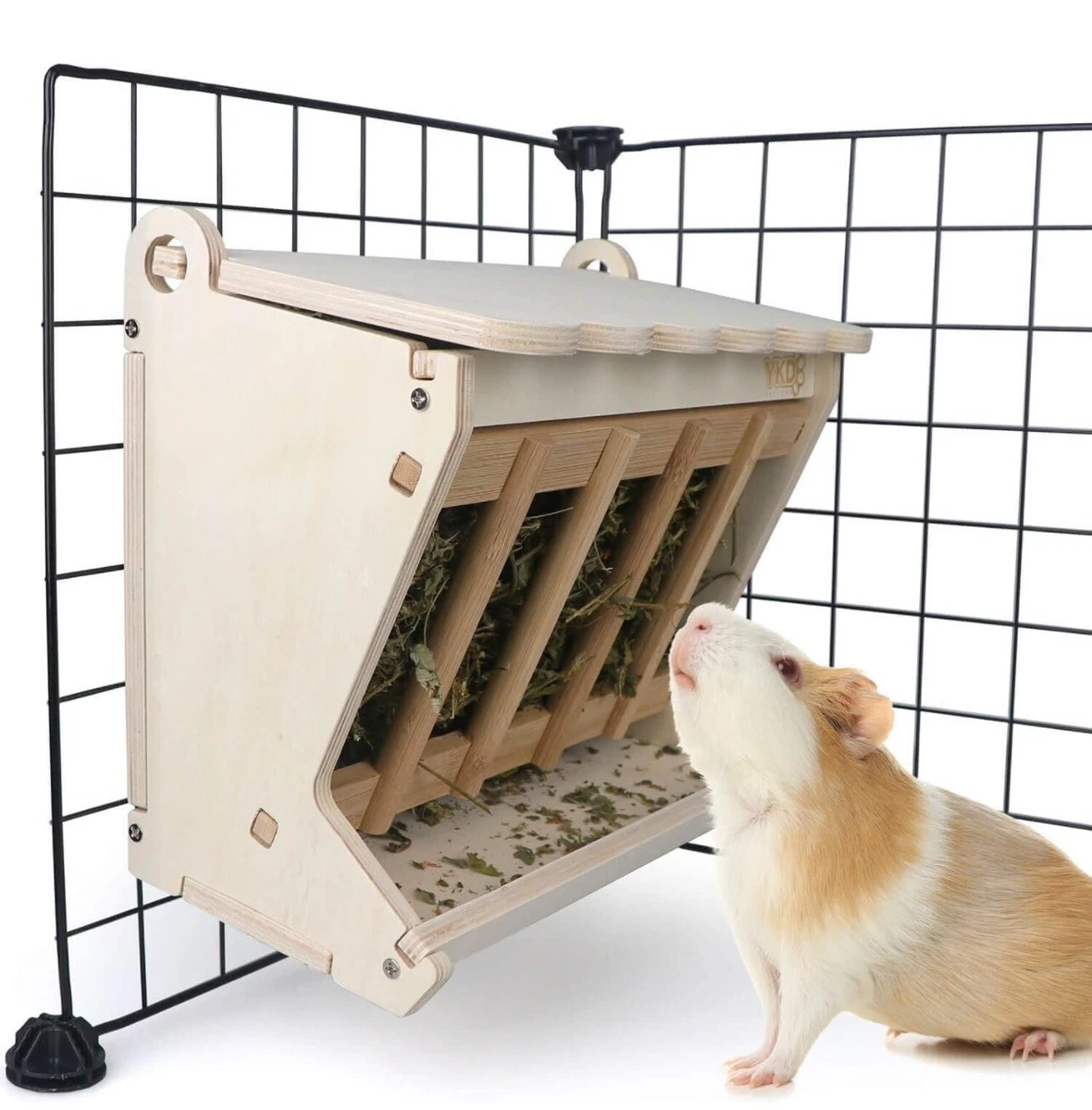 Feeder guinea on sale pigs