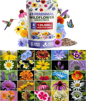 garden cress seed Cress Seeds main image 0