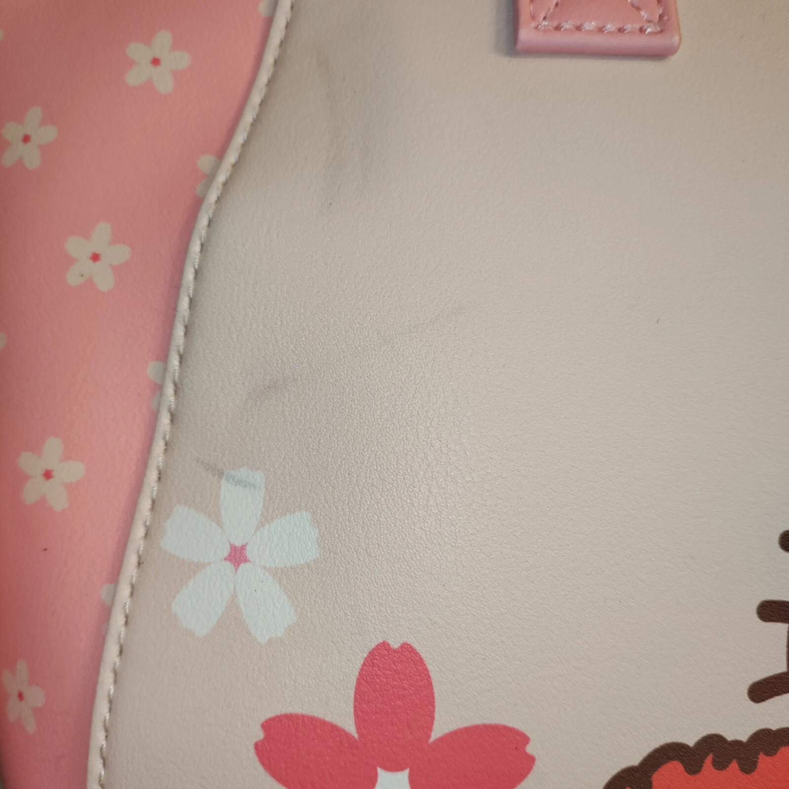 Picture 7 of 20