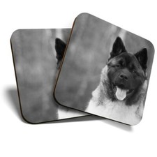 2 x Coasters (BW) - Adult Akita Japanese Dog Animal  #36626