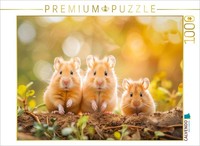 Calvendo Puzzle Enjoy The Sun | 1000 Pieces, Finished Size 25.2 × 18.9 In (64 ×