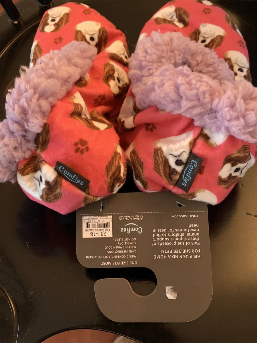 Cavalier king charles slippers new arrivals