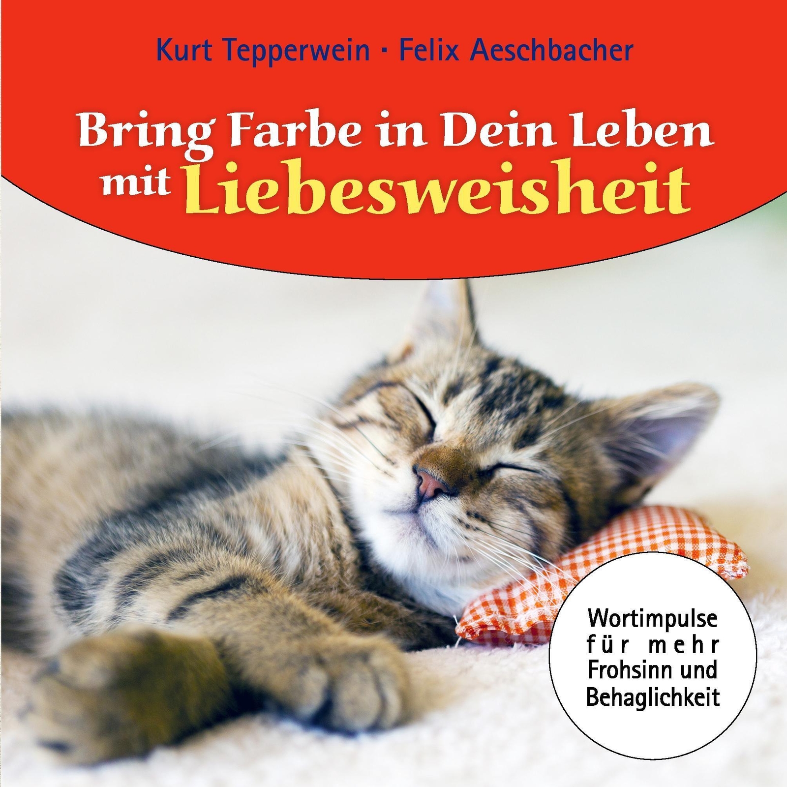 Thumbnail - Felix Aeschbacher (u. A.) | Bring Farbe In Dein Leben Mit