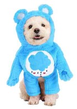 Grumpy Bear عناية Bears كلب Costume