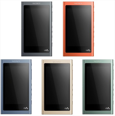 English Menu Sony Walkman Nw A55 High Resolution Audio From Japan Ebay