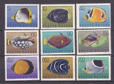 Poland 1492-1500 MNH 1967 Tropical Fish Complete Set of 9 Very Fine