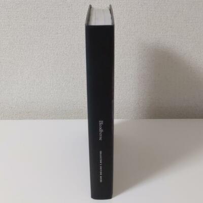 【新品未開封】Bloodborne Strategy Guide Bloodborne - Strategy Guide eBook by GamerGuides.com - EPUB