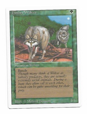 Magic the Gathering ~ MTG ~ 1x Timber Wolves ~  M/NM ~ REVISED