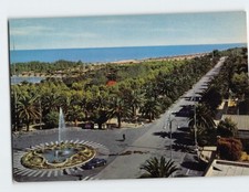 Postcard Palms Avenue San Benedetto Del Tronto Italy
