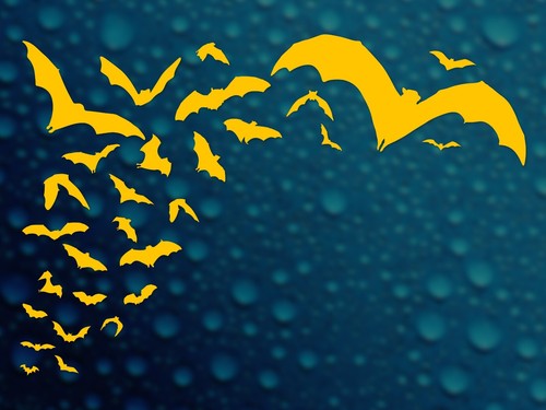 Bats Decal, Flying Foxes Colony, Vinyl Sticker for Cars, Laptops, Halloween Fun - 第 20/39 張圖片