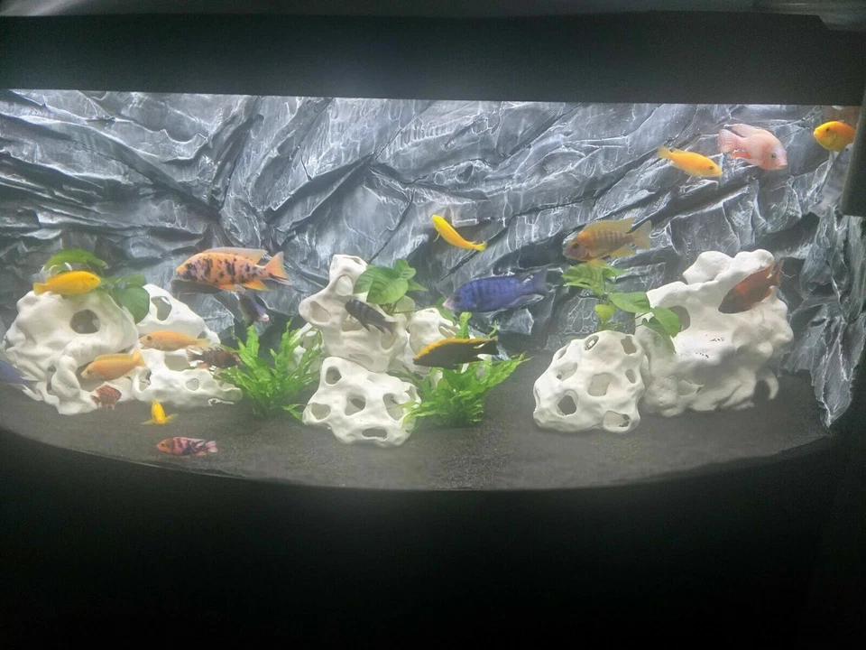 Aquarium-Deko 3 LOCHGESTEINE Felsen Höhle ---------------SONDERANGEBOT---------- - Bild 2 von 4