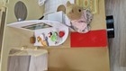 Bild 6 von 19