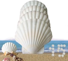 15 Pcs Sea Shells 3.1-3.5inch White Large Scallop Shells for Baking Cooking...