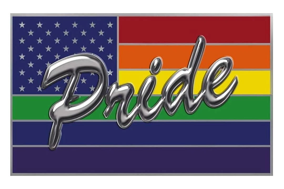 Pack of 12 USA Rainbow Pride Bike Motorcycle Hat Cap Lapel Pin HP6115