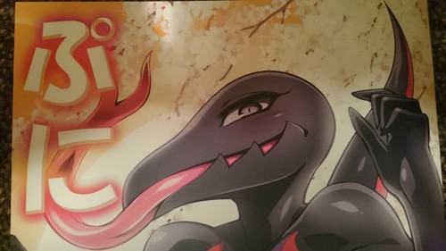 Pokemon Doujinshi Punipoke B5 10pages Kemono Furry Puni Poke Ebay